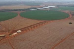 FAZENDA-GUARA-300x169