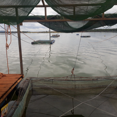 Portfólio_G4 Soluções Ambientais-32