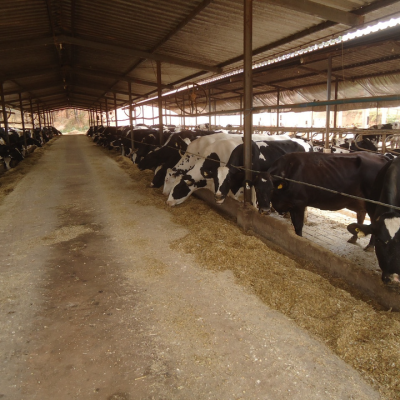 Portfólio_G4 Soluções Ambientais-34